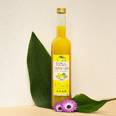 JAMU Immun Bio Konzentrat