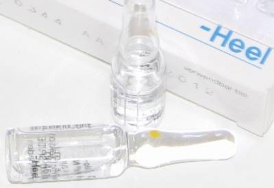HYPOPHYSIS SUIS Injeel forte Ampullen