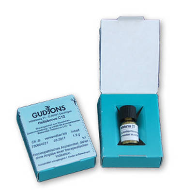 ARNICA C 1000 Einzeldosis Globuli