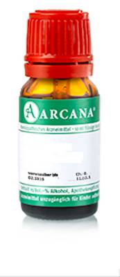 LILIUM TIGRINUM LM 18 Dilution